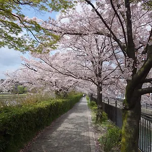 君家伏见公寓 招待所