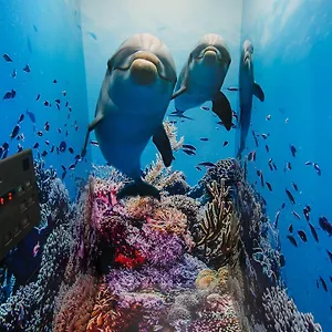 Tabist Sparkling Dolphins 旅馆